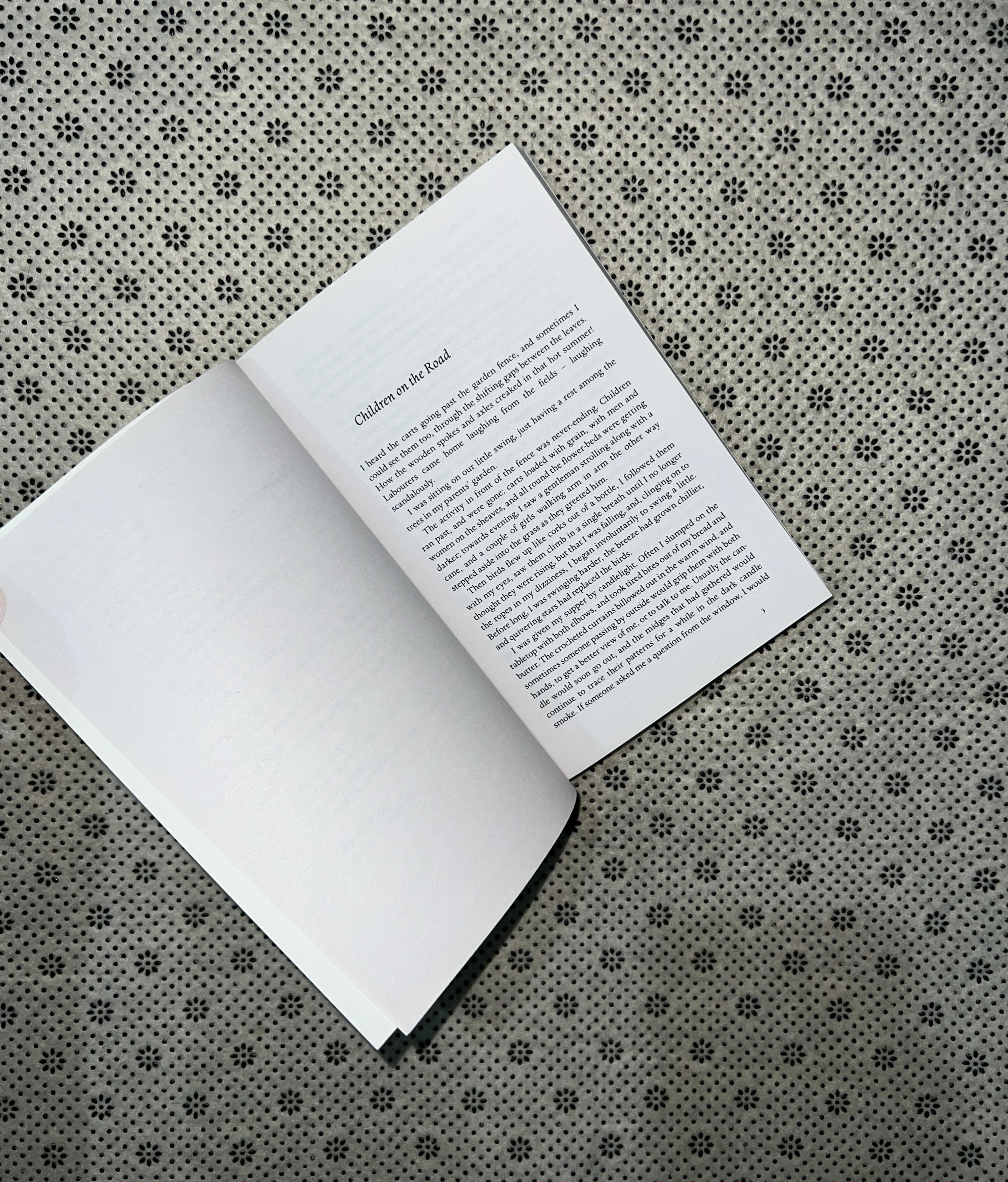 THE METAMORPHOSIS by Franz Kafka