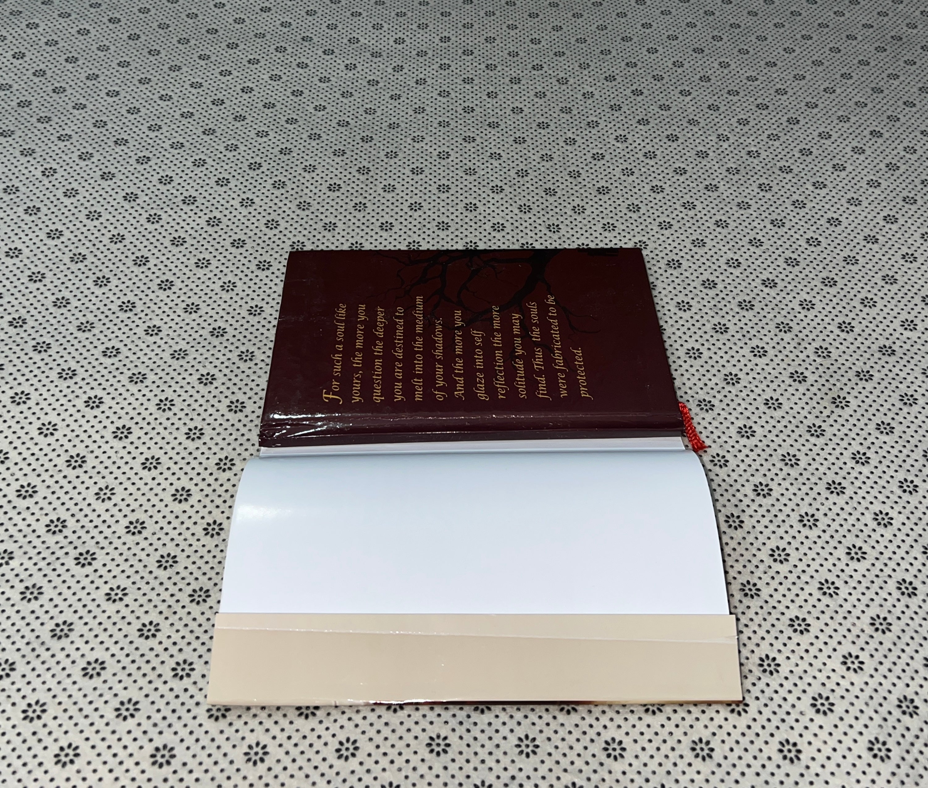 REBORN by Salva Amin