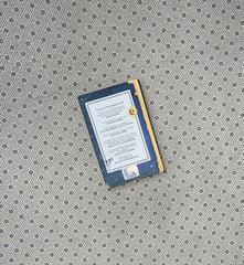 REBEL ENGLISH ACADEMY by Mohammad Hanif