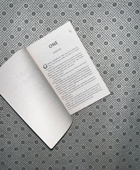 THE REBEL WITCH: THE CRIMSON MOTH (Book 2) by Kristen Ciccarelli