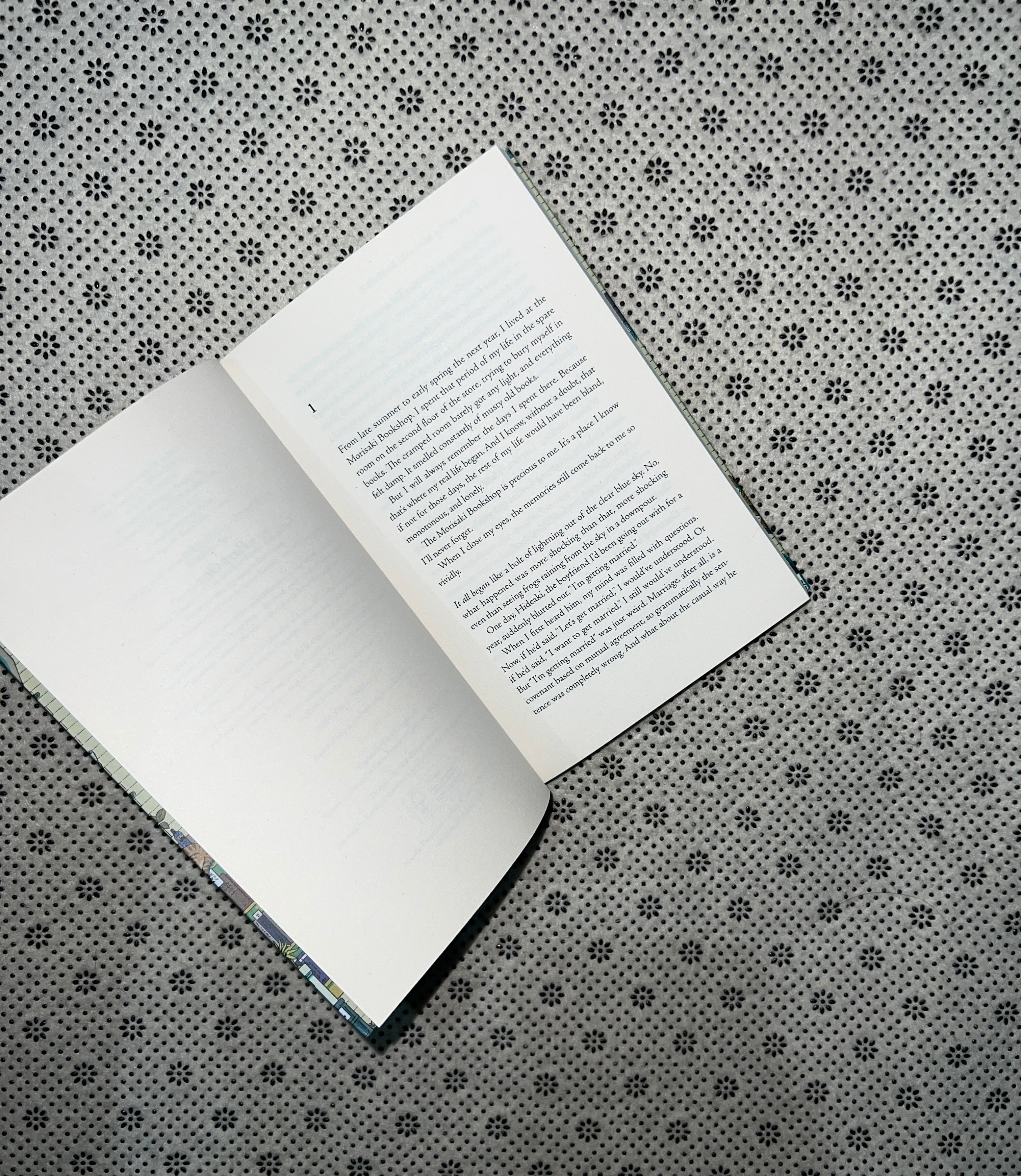 DAYS AT THE MORISAKI BOOKSHOP by Satoshi Yagisawa