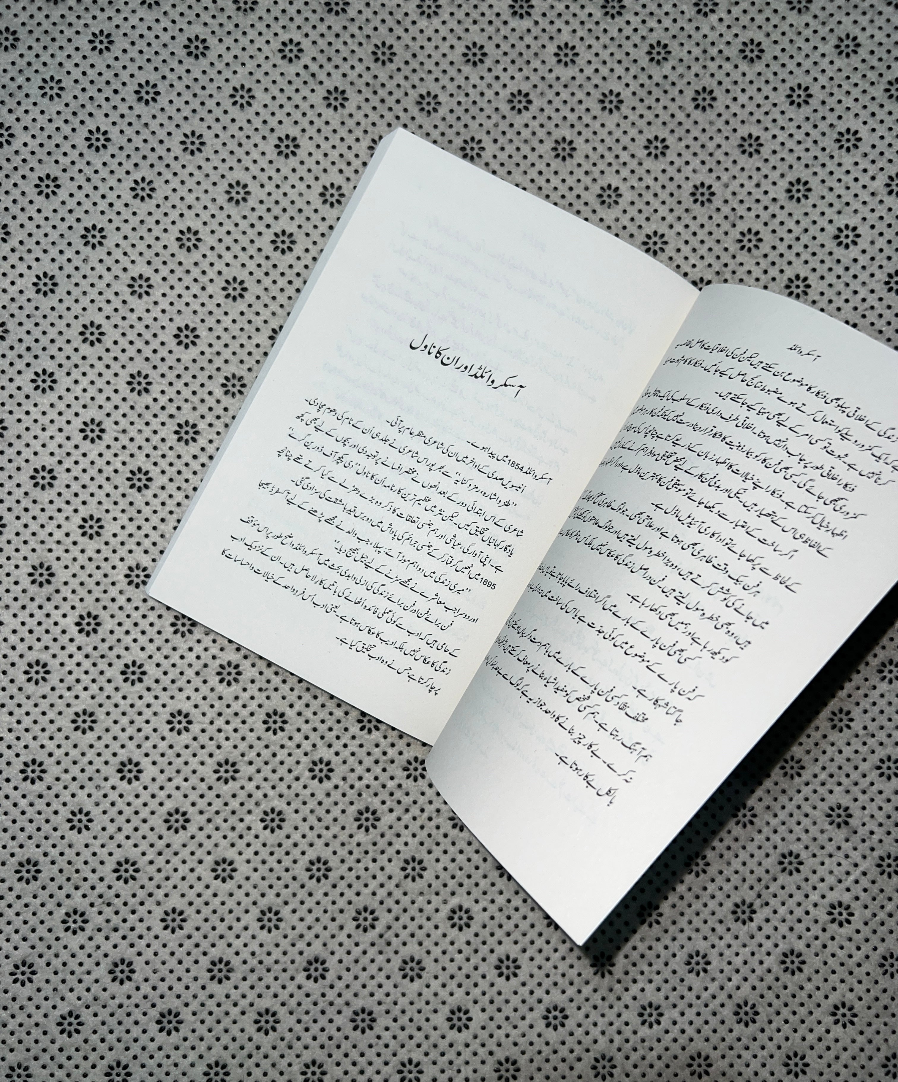 TASVEER-E-YAAR (Readings Classics) (Urdu)/ (PICTURE OF DORIAN GRAY) by Oscar Wilde