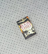 the book thief by markus zusak 1