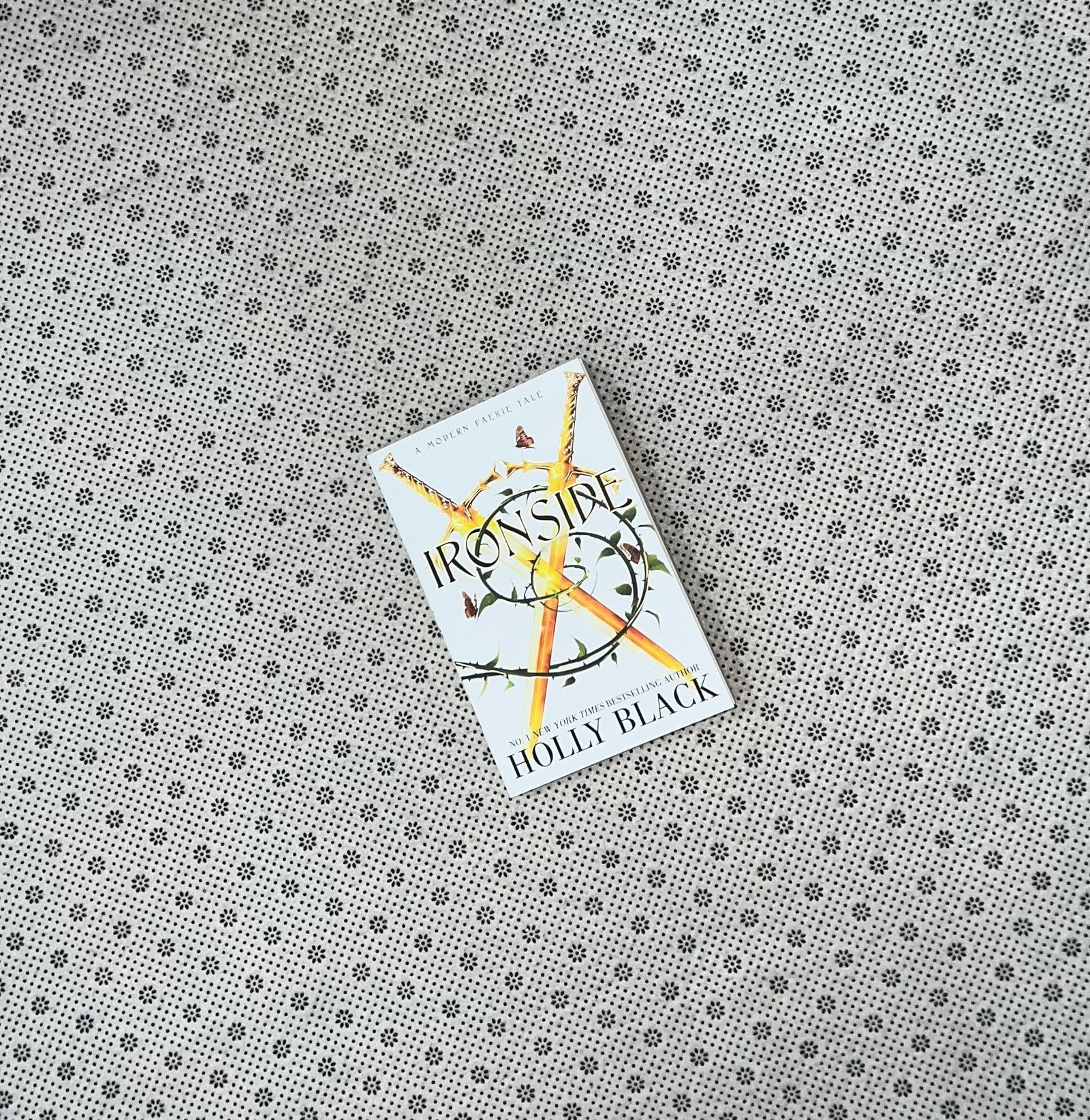 ironside by holly black