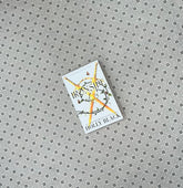 ironside by holly black