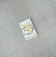 ironside by holly black