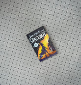 spaceboy by david walliams