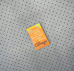 how to develop self confidence and influence by public speaking by dale carnegie