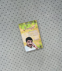 SARMAYA E DARVESH by Prof. Muhammad Abdullah Bhatti
