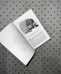 A KNIGHT OF THE SEVEN KINGDOMS by George R.R. Martin