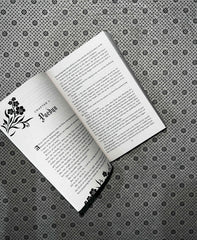FEARLESS: the Powerless (Book 3) (Tiktok Made Me Buy It!) by Lauren Roberts