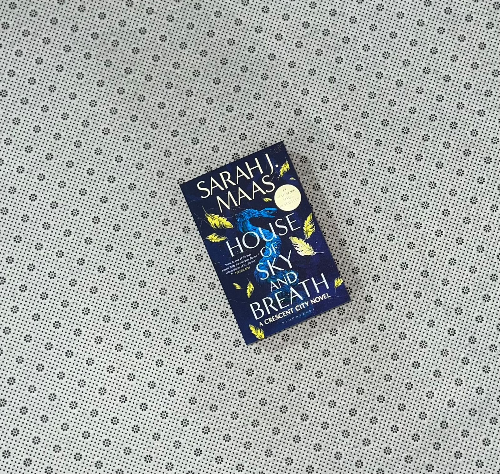 house of sky and breath crescent city series book 2 by sarah j maas