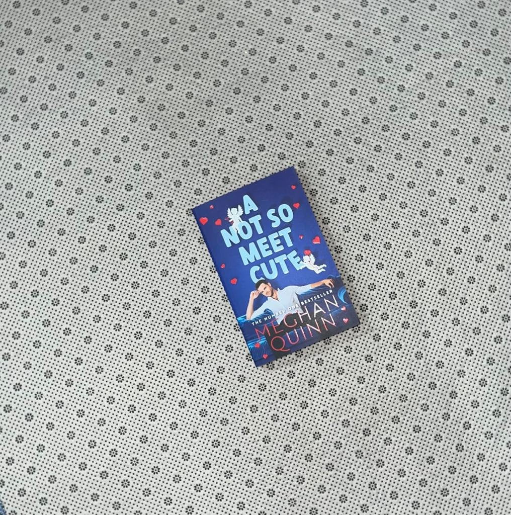 a not so meet cute by meghan quinn