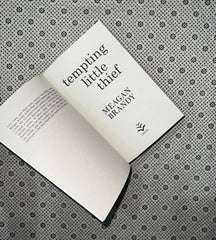 tempting little thief by meagan brandy