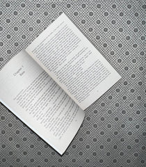 tempting little thief by meagan brandy