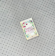 emily wildes encyclopaedia of faeries emily wilde series book 1 by heather fawcett