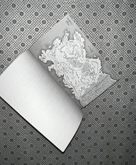 a river enchanted elements of cadence series book 1 by rebecca ross