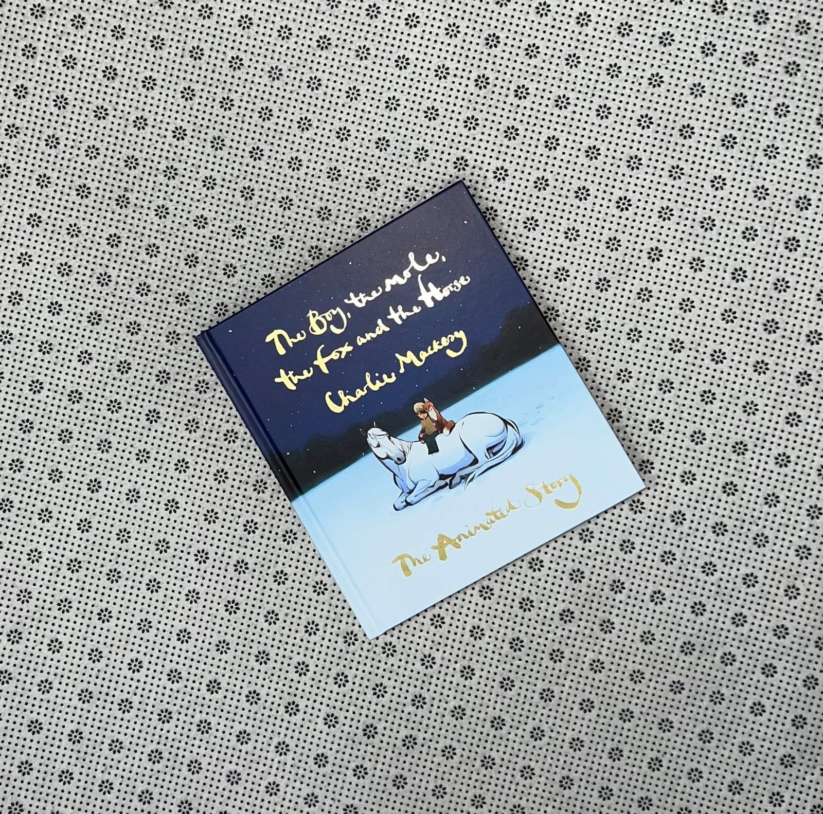 the boy the mole the fox and the house the animated story by charlie mackesy