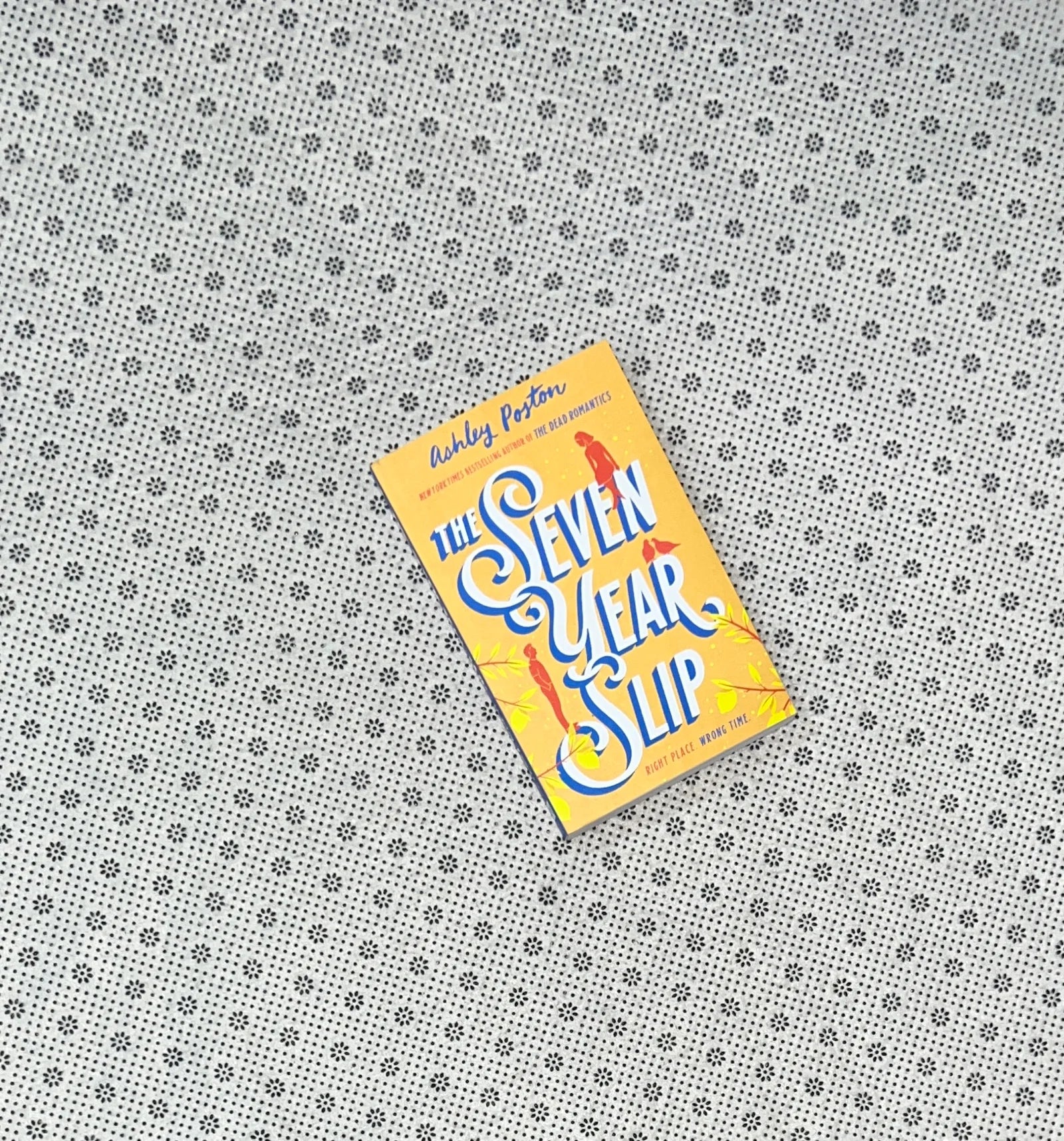 the seven year slip by ashley poston