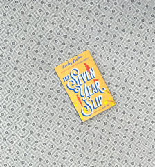 the seven year slip by ashley poston