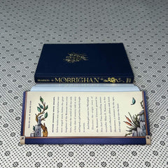 morrighan the beginnings of the remnant universe illustrated and expanded edition the remnant chronicles by mary e pearson