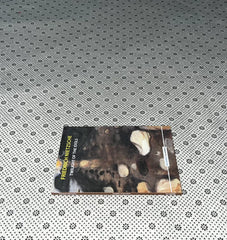 twilight of the idols by friedrich nietzsche