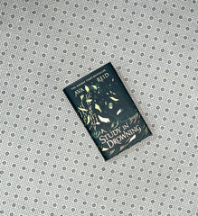 a study in drowning by ava reid