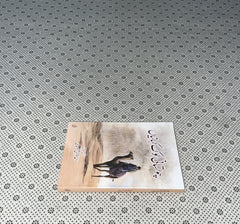 CHOLISTANI LOK KAHAANIYAN by Ahmed Ghazaali Shaheedi