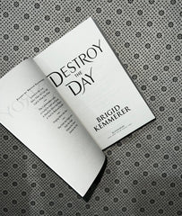 destroy the day defy the night series book 3 by brigid kemmerer