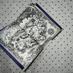 morrighan the beginnings of the remnant universe illustrated and expanded edition the remnant chronicles by mary e pearson