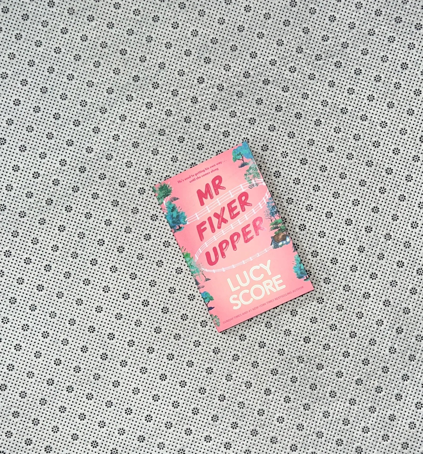 mr fixer upper by lucy score