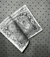 destroy the day defy the night series book 3 by brigid kemmerer