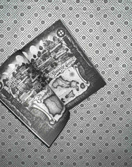 throne of the fallen prince of sin series book 1 by kerri maniscalco