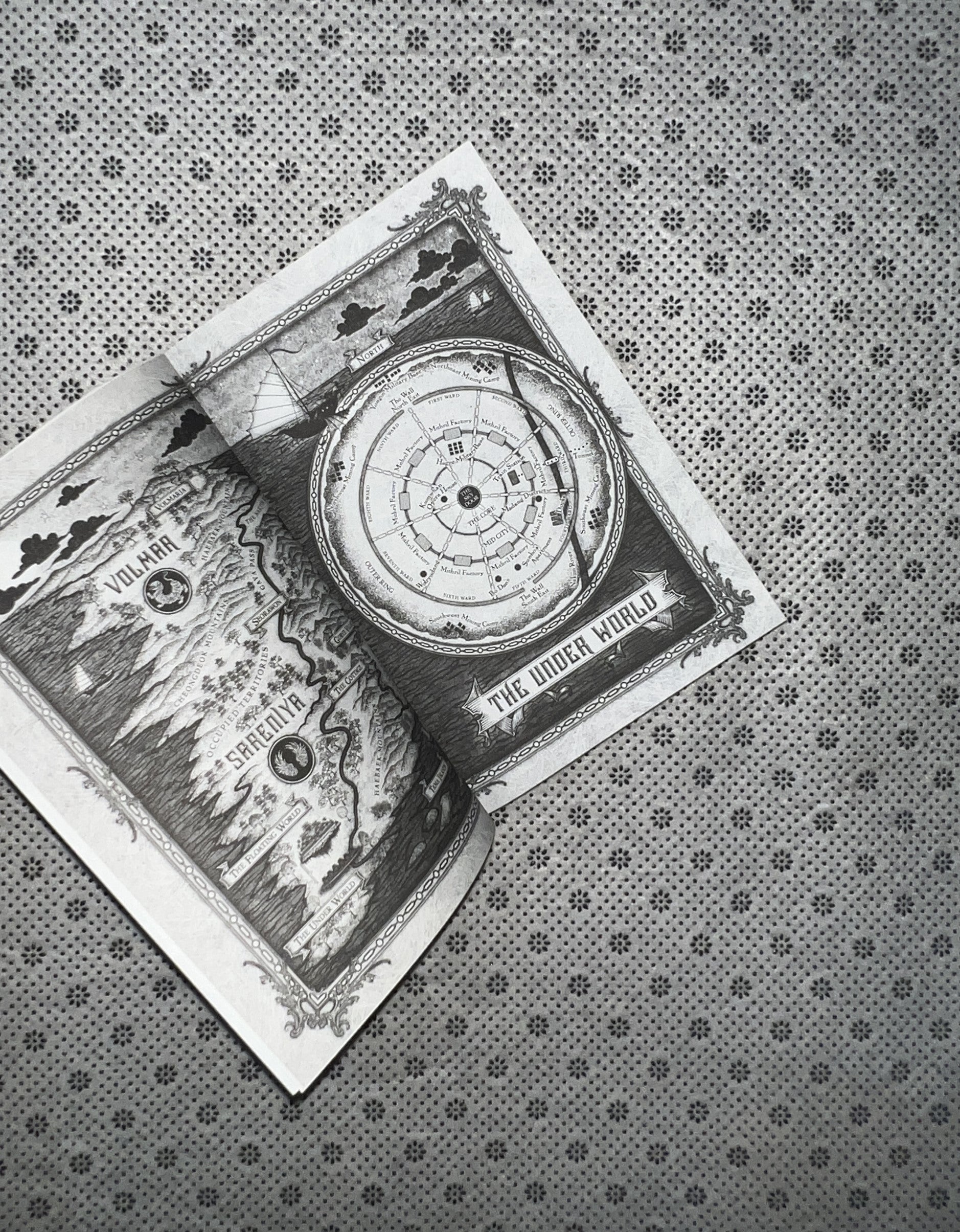 THE FLOATING WORLD by Axie Oh