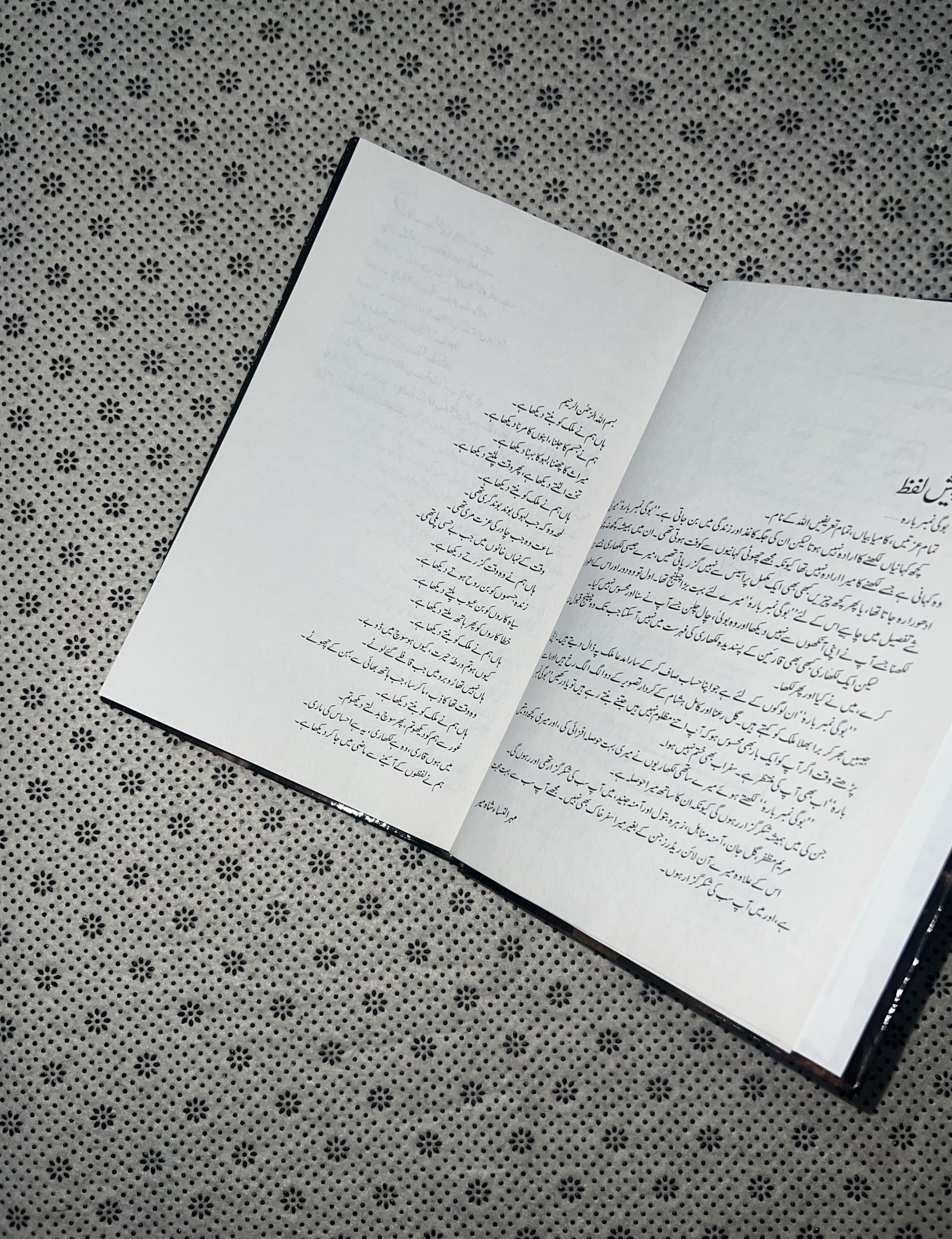 BOGHI NUMBER 12 by Mehrulnisa Shahmeer