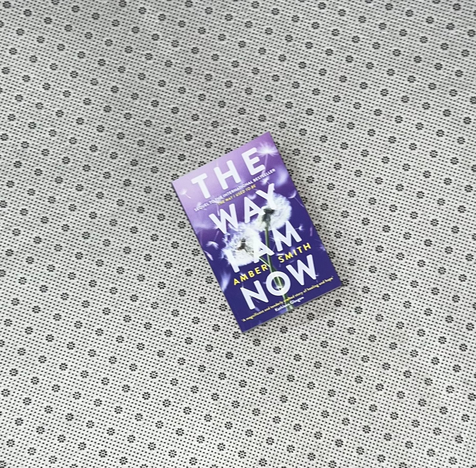 the way i am now the way i used to be seriesbook 2 by amber smith