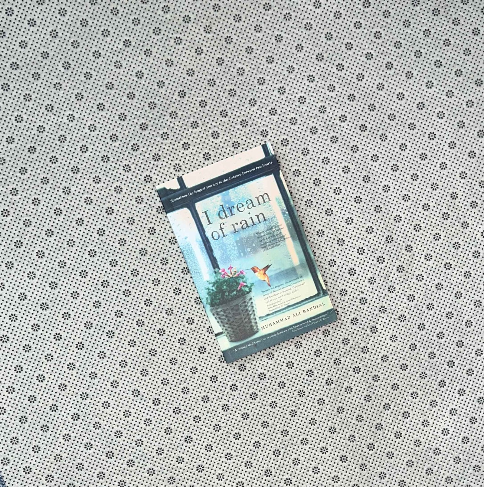 i dream of rain sometimes the longest journey is the distance between two hearts by muhammad ali bandial