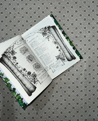 powerful a sizzling story set in the world of powerless related to powerless trilogy deluxe collectors edition by lauren roberts