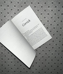 destroy the day defy the night series book 3 by brigid kemmerer