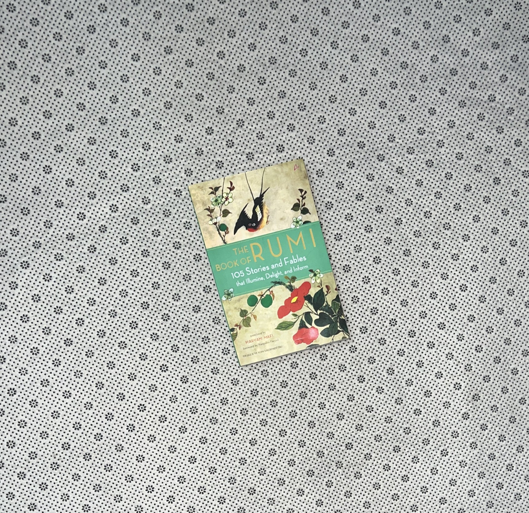 THE BOOK OF RUMI: 105 Stories And Fables That Illumine, Delight, And Inform by Maulana Rumi