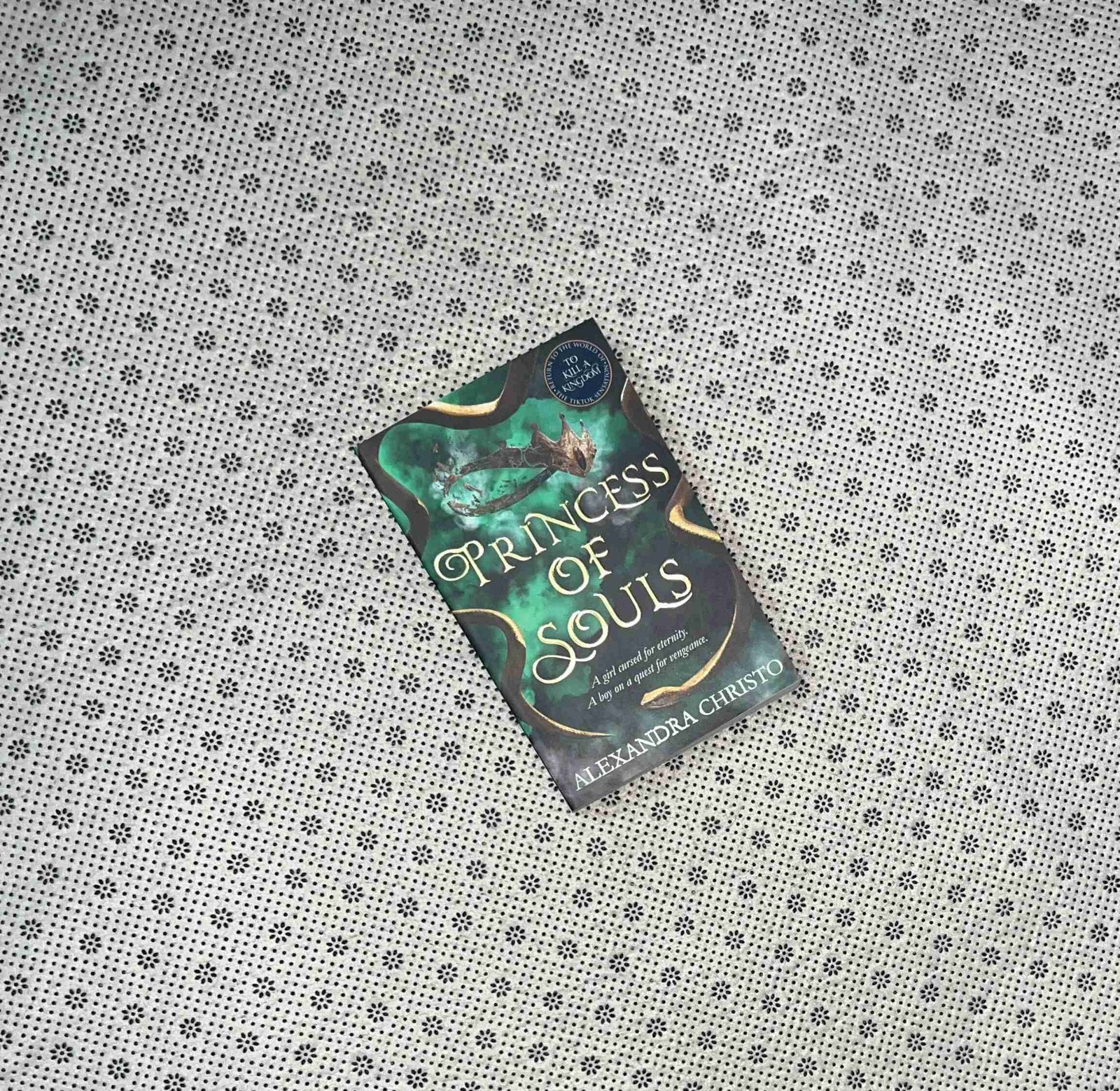 princess of souls hundred kingdoms series book 2 by alexandra christo