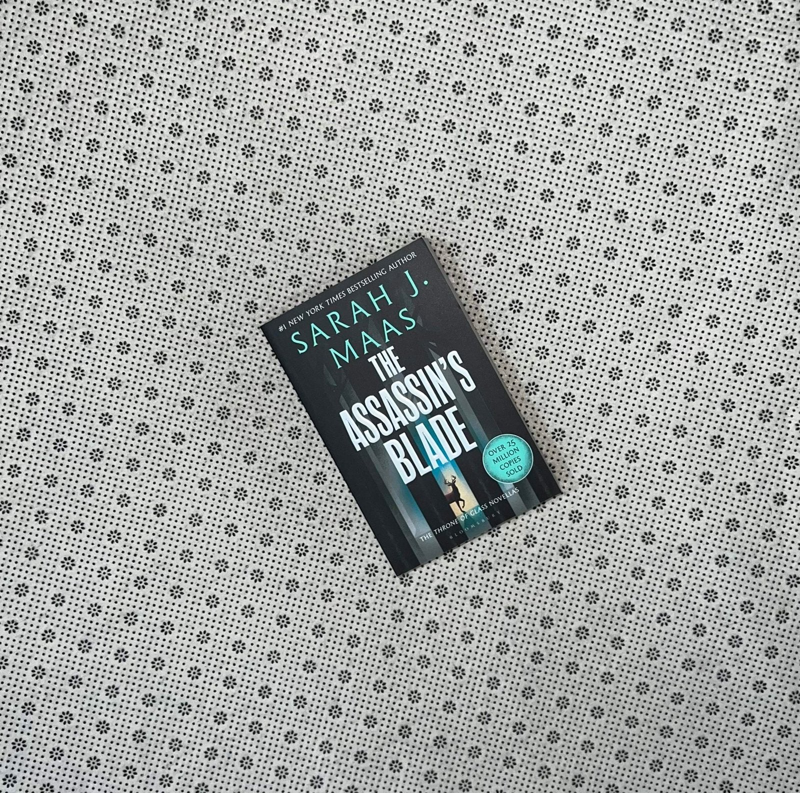 the assassins blade the throne of glass novellas adult edition by sarah j maas