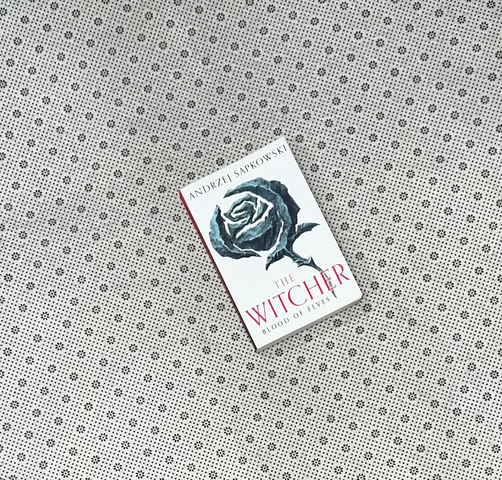 blood of elves the witcher series book 1 by andrzej sapkowski