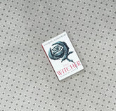 blood of elves the witcher series book 1 by andrzej sapkowski