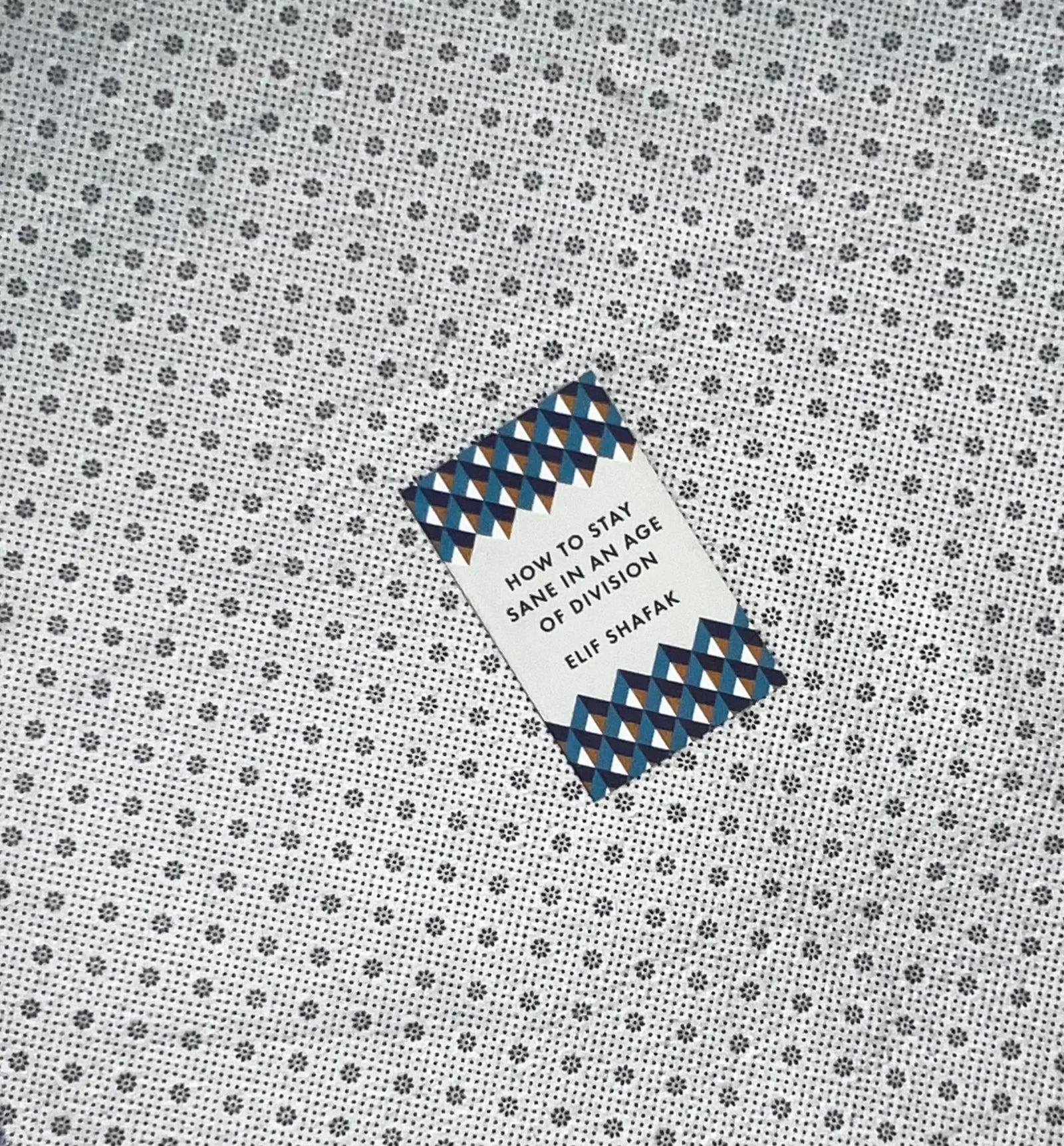 how to stay sane in an age of division by elif shafak