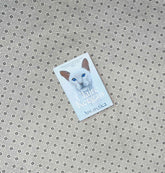 antarctica by claire keegan