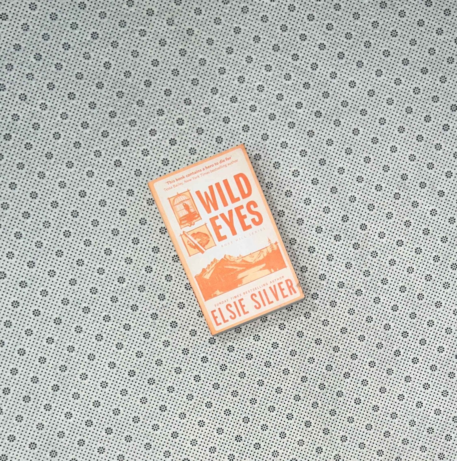 wild eyes rose hill series book 2 by elsie silver