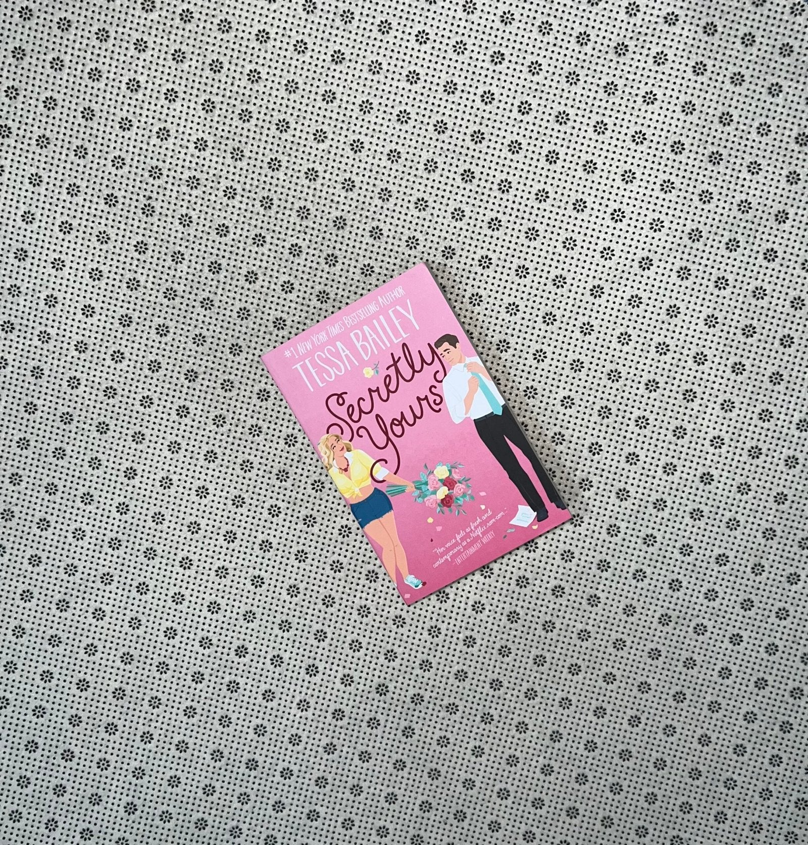 secretly yours vine mess series book 1 by tessa bailey