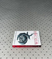 blood of elves the witcher series book 1 by andrzej sapkowski