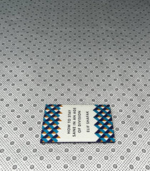 how to stay sane in an age of division by elif shafak